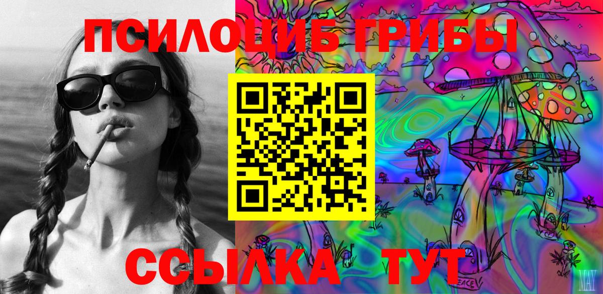 Псилоцибиновые грибы GOLDEN TEACHER  Вход с VPN  Заводоуковск 